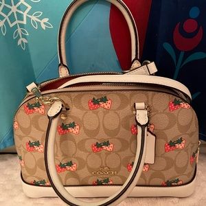 Coach Handbag